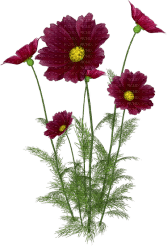 Flores color vino - gratis png