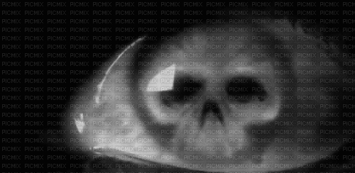skull-eye - GIF animado gratis