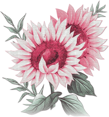 soave deco flowers sunflowers branch pink green - ingyenes png