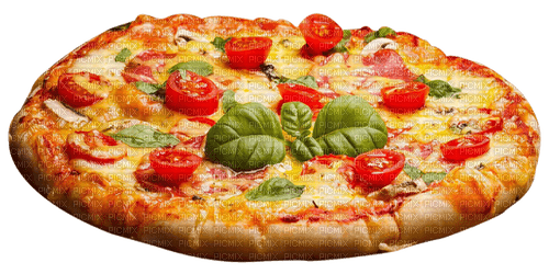 GIANNIS TOUROUNTZAN - pizza - kostenlos png
