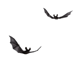 bats - безплатен png