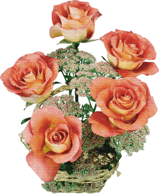 Kaz_Creations Deco Flowers Vase Plant Colours - png gratis