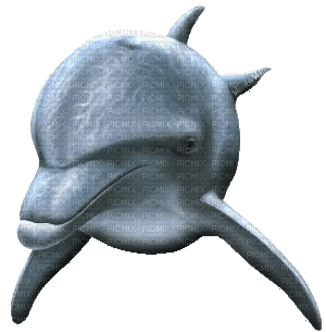 delfin - 免费PNG