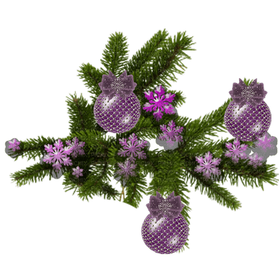 Christmas purple bp - ücretsiz png