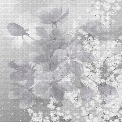 Kaz_Creations Backgrounds Background Flowers - gratis png