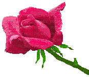 Rosas corazón - Безплатен анимиран GIF