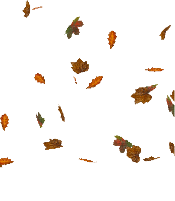 autumn leaves_automne feuille__Blue DREAM 70 - GIF animasi gratis