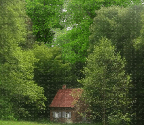 Wald - безплатен png