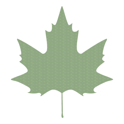 green maple leaf Bb2 - ücretsiz png