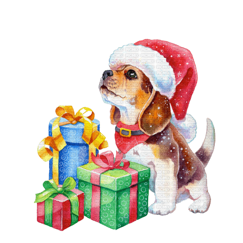 kikkapink dog winter animal animals christmas - besplatni png