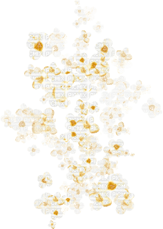 White yellow flowers overlay [Basilslament] - Free PNG