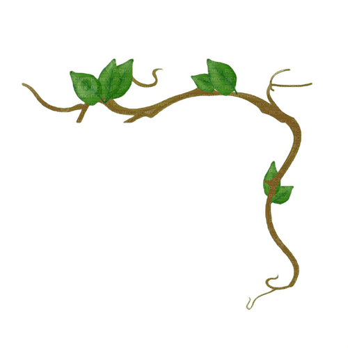 roots - zadarmo png