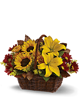 Kaz_Creations  Flowers Vase Plant Basket - gratis png