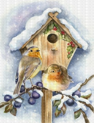 Vögel im Winter - δωρεάν png
