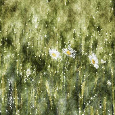 kikkapink background spring field flowers - Nemokamas animacinis gif