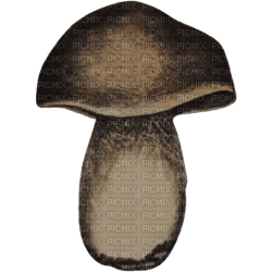 Mushroom - png grátis