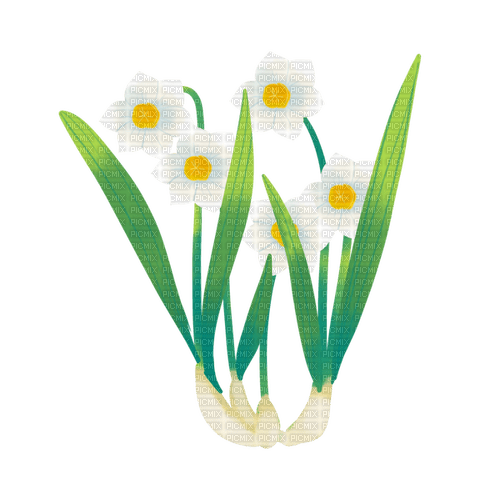 daffodils Bb2 - 無料png