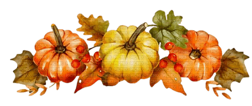 Pumkin - Autumn - Free PNG