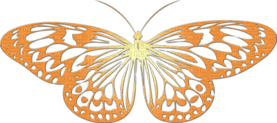 Butterfly- pages -2 - gratis png