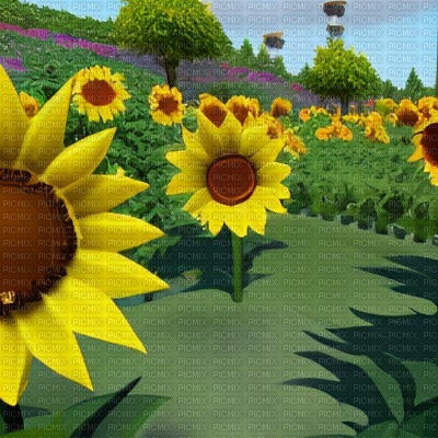 Sunflower Garden - png gratuito