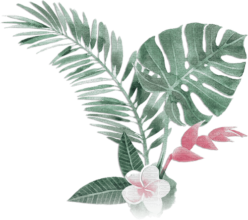 soave deco summer tropical pink green - ücretsiz png