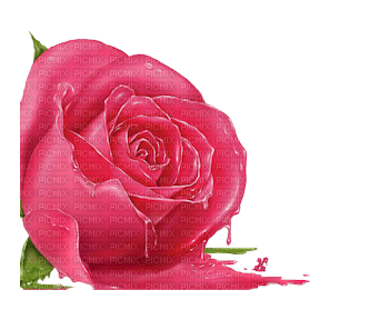 Dripping Rose - 免费PNG