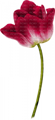 Kwiat deco - 免费PNG