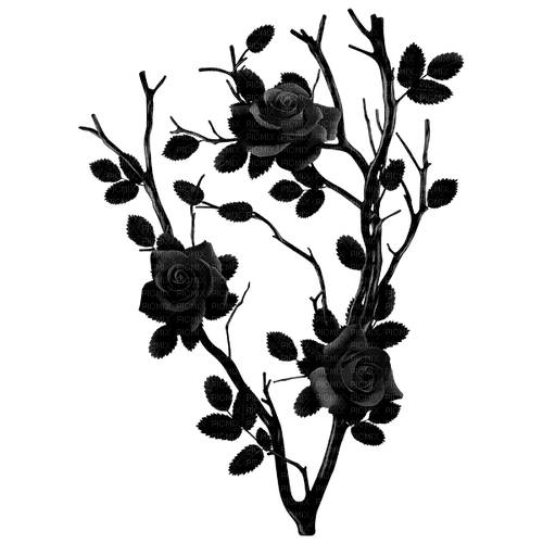 Gothic.Roses.Black - darmowe png