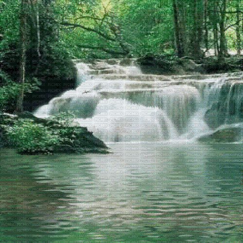 Background nature jungle - Δωρεάν κινούμενο GIF