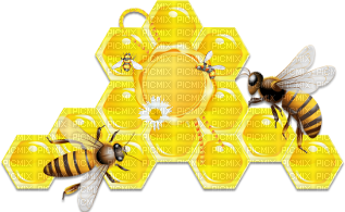 soave deco scrap  honey bee - png gratuito