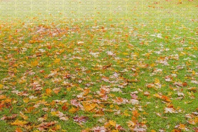 Herbst - Free PNG
