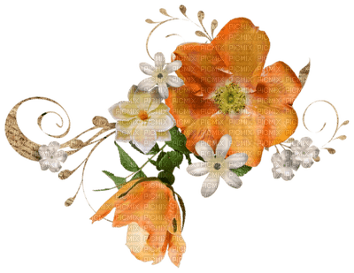 fleur orange.Cheyenne63 - darmowe png