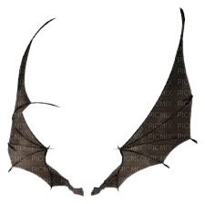 bat wings - PNG gratuit