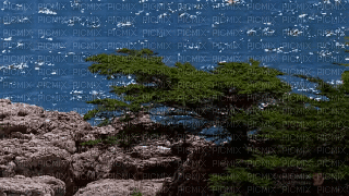 paysage - 免费动画 GIF