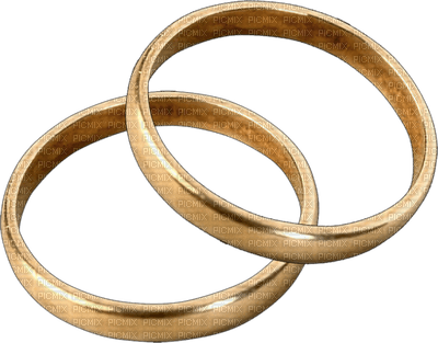 Kaz_Creations Deco Rings - PNG gratuit