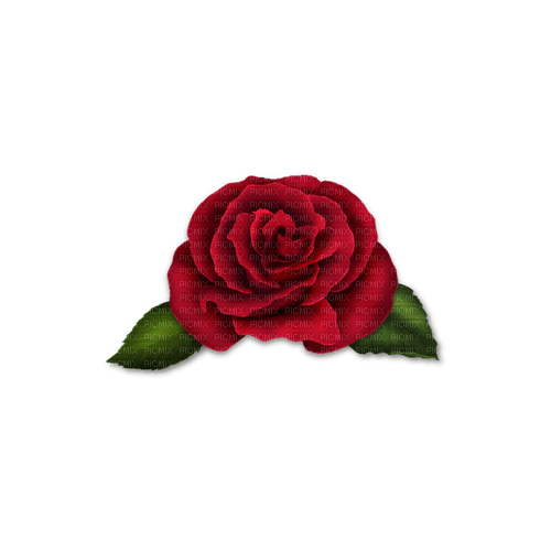 kikkapink deco scrap red rose - 免费PNG