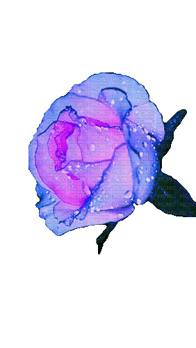 Цветок - Nemokamas animacinis gif