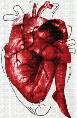 Corazón - Ilmainen animoitu GIF