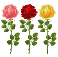 rosas-l - PNG gratuit