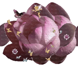 Nina flower - Animovaný GIF zadarmo