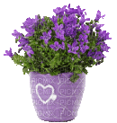 Blumentopf - Ingyenes animált GIF