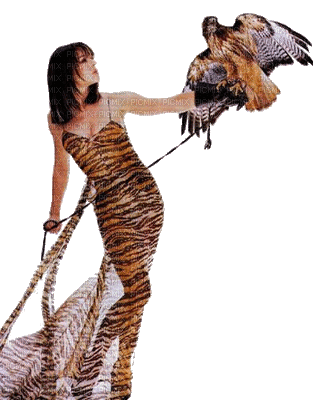 woman in animal print bp - Бесплатный анимированный гифка