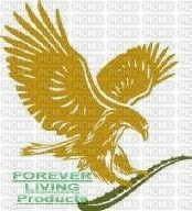 gold eagle- - PNG gratuit