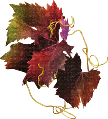 tube automne - 免费PNG
