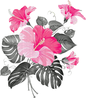 soave deco animated flowers summer tropical branch - Gratis animeret GIF