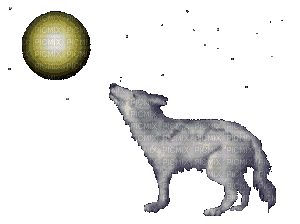 wolf - GIF animado grátis