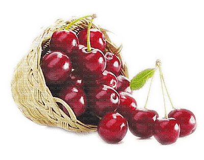 fruit cherries bp - zadarmo png