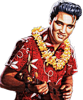 Elvis the King - png gratuito
