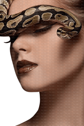 woman snake - zadarmo png
