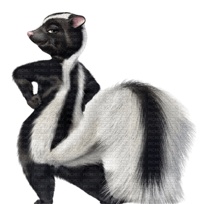 Stella the Skunk - PNG gratuit